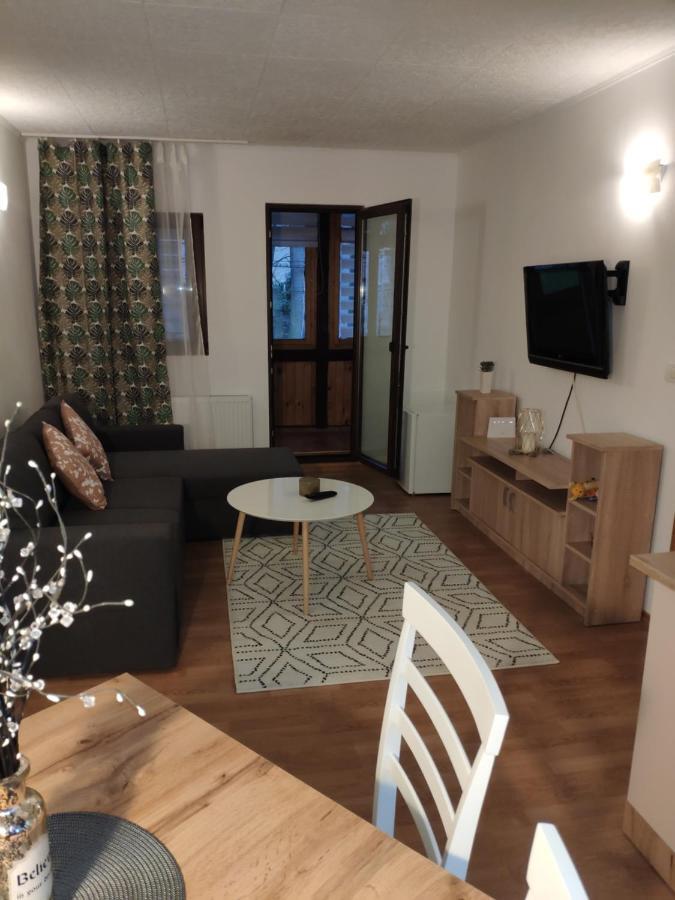 Cozy Loft At Teleferic Appartement Sinaia Buitenkant foto